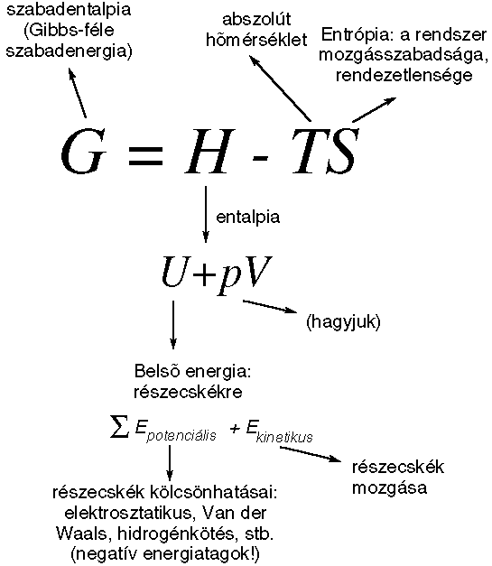 ghts.gif (7.8k)